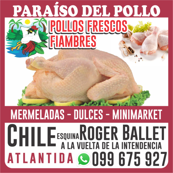 Avícola Paraiso del Pollo Avícola Paraiso del Pollo Atlantida